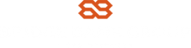 BRIDGE BANK GROUP