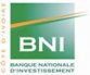 Banque Nationale D'Investissement 