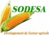 SOCIÉTÉ DE DÉVELOPPEMENT DU SECTEUR AGRICOLE (SODESA)