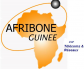 AFRIBONE GUINEE