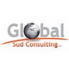 GLOBAL SUD CONSULTING