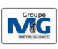 METAL GUINEE SA