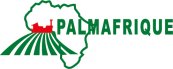 Palmafrique