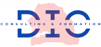 Développement Innovation Consulting 